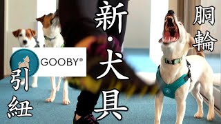 【gooby】おすすめハーネスリード紹介　抜けない、擦れない、水に強い