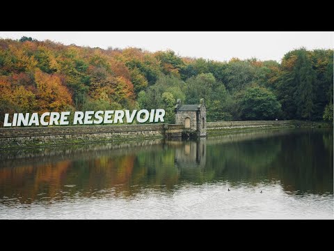 Linacre Reservoir Circular Walk, Chesterfield: Soothing Nature Sounds and Scenery
