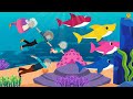 Wheels on the bus  baby shark  nursery rhymes and kids songs