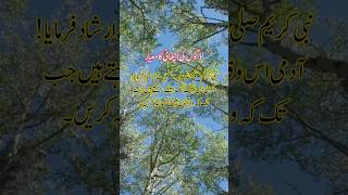 Hadees e pak|Hadees sharif|Hadees in Urdu|Hadees #shorts #islam #trending