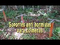 Soportes anti hormigas para colmenas (Apis y Meliponinos)