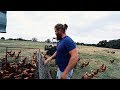 How To Make Money Farming | TWO Things Successful Farmers Have in Common