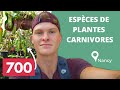 Je visite le jardin botanique de nancy et sa collection de plantes carnivores  