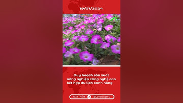 Quy hoạch sản xuất nông nghiệp công nghệ cao kết hợp du lịch canh nông #shorts #lamdongtv #news