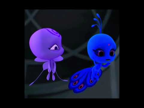 Violet2Valid: A Miraculous Metamorphosis: The Violet2Valid Story