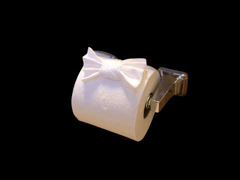 🧻🎀 How to Make EASY Bow on Toilet Paper Roll