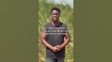 Consider donating to our PayPal link 🔗 in bio #dog #puppy #shorts #shortvideo #shortsfeed #explore