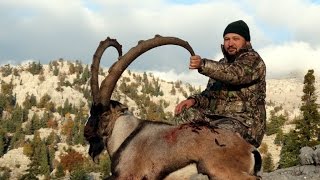 HUNT BEZOAR IBEX in TURKEY MUSTAFA AVCI & RECEP ECER