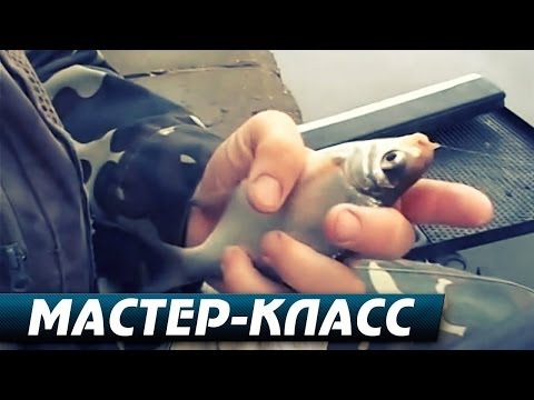 как научиться рыбачить на поплавочную удочку