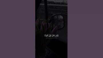 سورة نوح | اية 28
