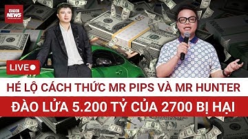 TOÀN CẢNH Cách thức lừa đảo của "Mr Pips" Phó Đức Nam và "Mr Hunter" Lê Khắc Ngọ
