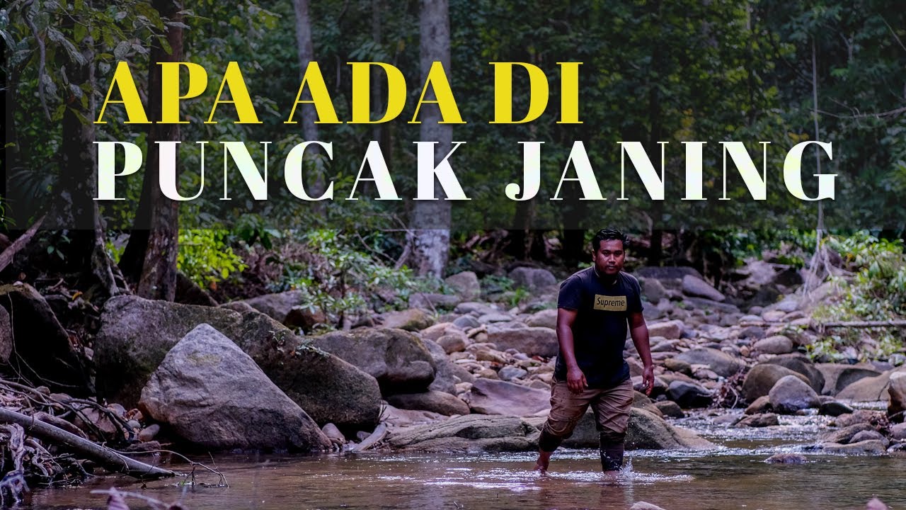 Apa Ada di Atas Puncak Janing Kuala Nerang | Menikmati Alam | Nature [HD]
