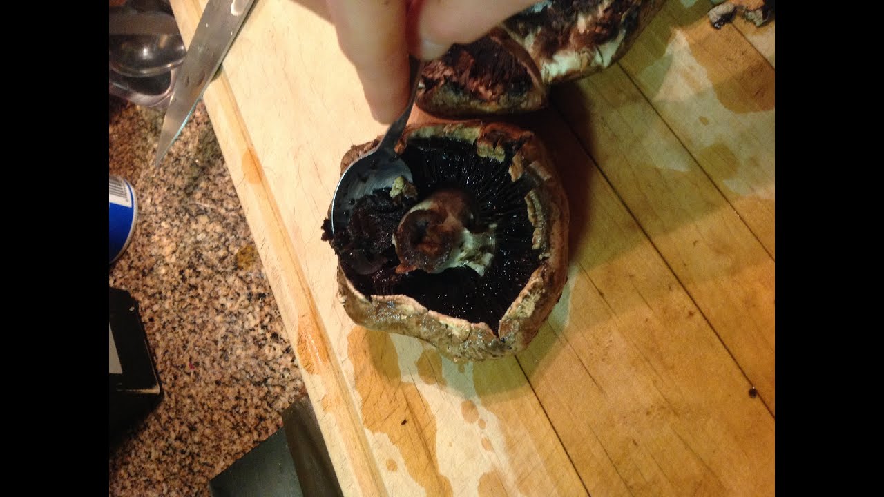 Portabella Mushrooms: How to Clean and Why to Remove the Gills from Plants-Rule - YouTube