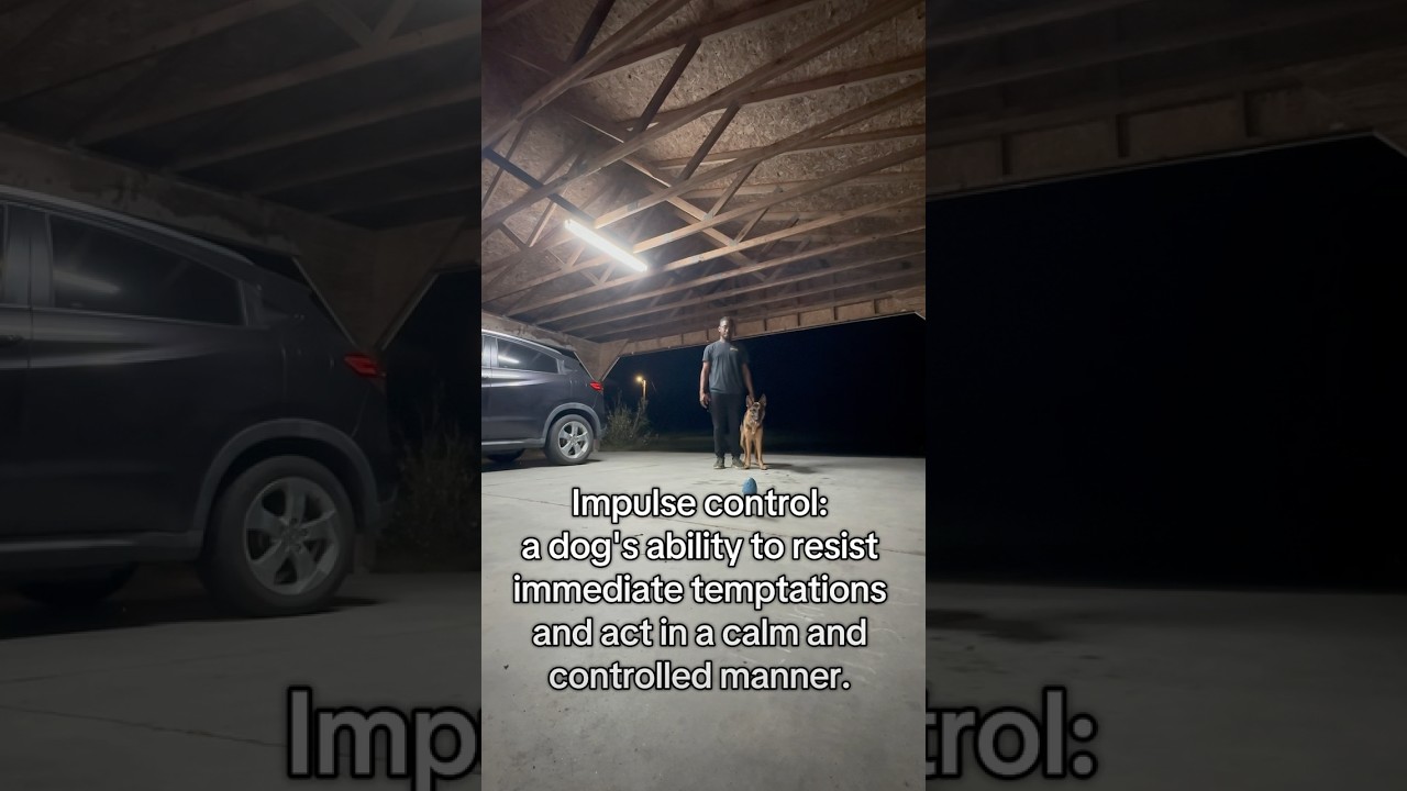 Impulse Control is taught.