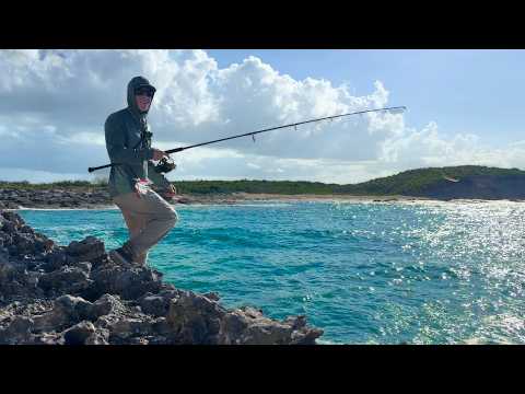 I Hiked Far to Remote Cliffs in Search of Rare Fish!!!