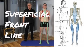 Superficial Front Line - Fascial Connections/Acupuncture Meridians