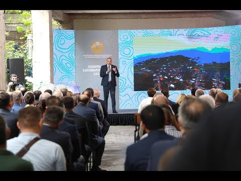 შოთა რეხვიაშვილი ინფრასტრუქტურის სამინისტროს 6 თვის ანგარიშზე