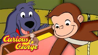 what good dog curious george kids cartoon kids movies