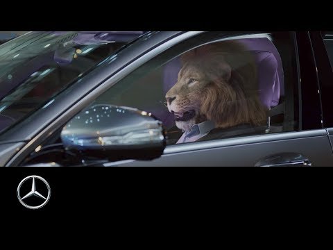 mercedes-benz-presents:-king-of-the-city-jungle-|-s-class-commercial