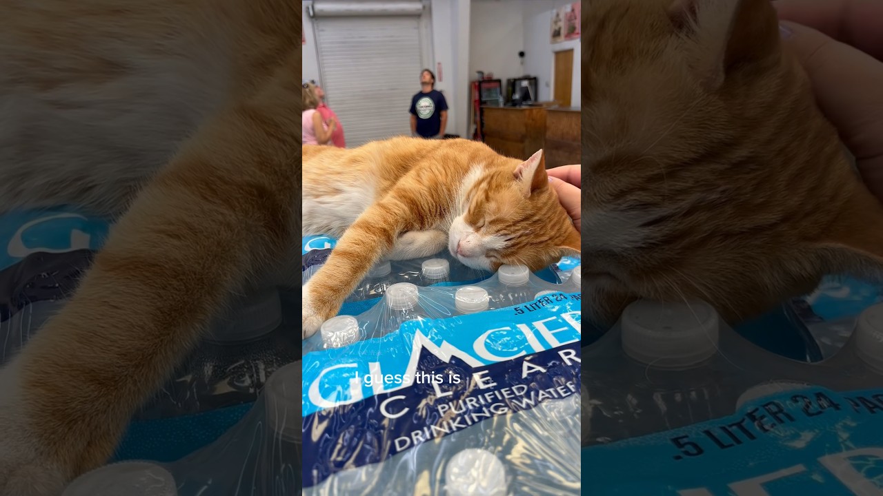 Day 18- extreme sadness + plants🌱