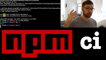 npm ci