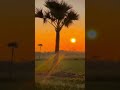 ইসলামের পথে আসো 😇😇#islamicvideo #viralvideo #shorts