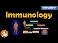 Immunology innate immunity and adaptive immunity flimmuno01