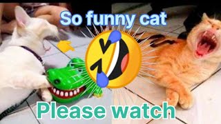 Funny cats and dogs funny pets videos 😂😂😂🐈🐈🐈🐈