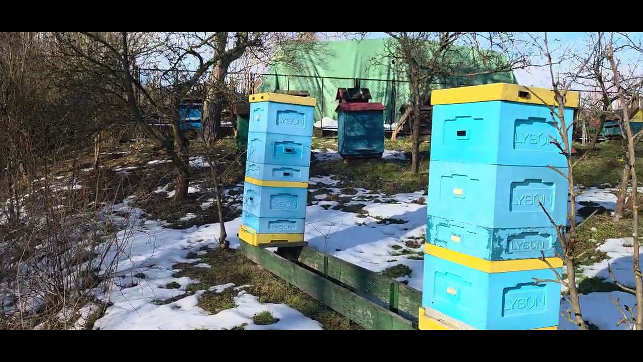 Ważne prace na przedwiosniu... dlaczego się boimy je wykonać? 