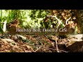 Healthy Soil, Healthy Life