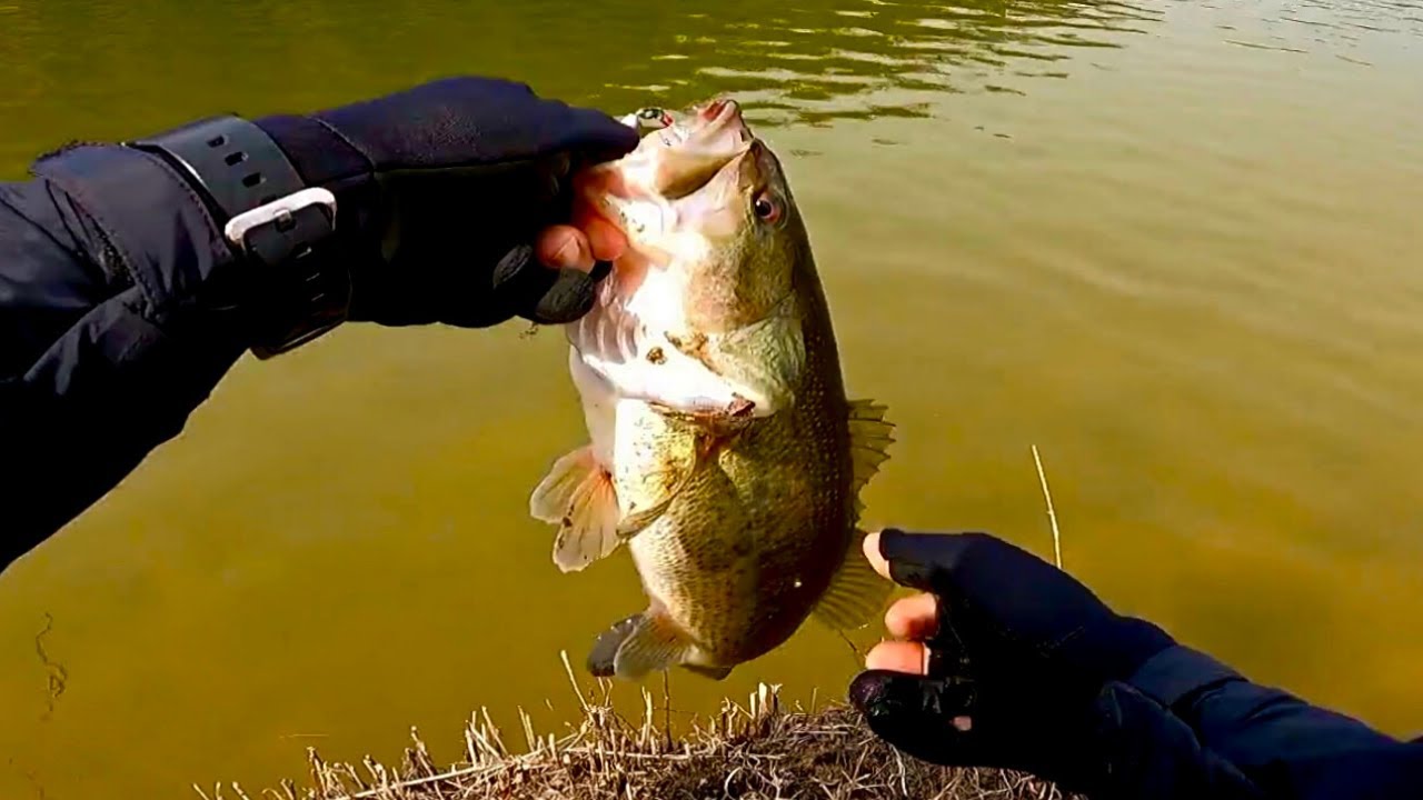 クランクベイトでバスを釣る方法、実釣しながら解説します