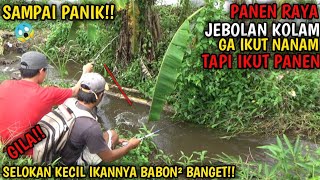 mancing ikan jebolan kolam || panen raya ikan besar mantap