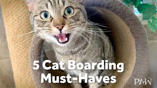 5 Cat Boarding MustHaves