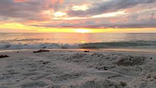 Sunset Naples Florida 2020 by Lakota Retrievers 18 views 3 years ago 2 minutes, 33 seconds