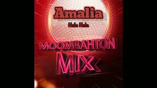 Amalia - Hala hala (Dj Sulik Moombahton Remix 2023) Resimi