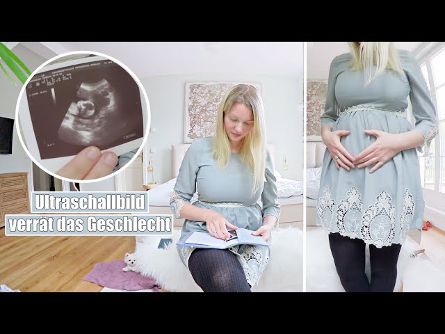 Doch Ein Junge Ultraschallbild Babybauch 15 19 Ssw Isabeau Youtube