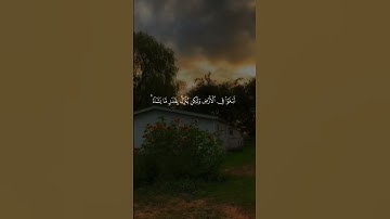 أكتب أي شيئ تؤجر عليه | القارئ عبد الباسط عبد الصمد