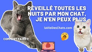 VOTRE CHAT VOUS RÉVEILLE LA NUIT ? Conseils et 2 Pièges