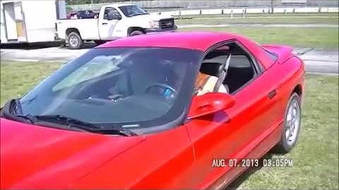 Jason after driving instruction