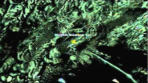 Flyeagle76 - CoD4 Spawn Fail