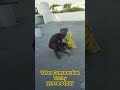 Building repair works