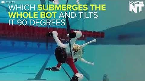 This Drone Can Fly Float Swim Underwater