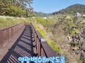 영광백수해안도로 칠산대교건너 무안 도포리 유채꽃축제까지