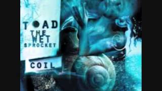 Watch Toad The Wet Sprocket Silo Lullaby video