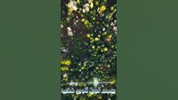 سورة مريم و..كا.نك تسمعها لأو،.ل مر.ة💕؛؛💘🌷🥀🌸❣️،💖بصوت الشيخ حمزة مد،بو.ح 💮؛🏵️💟،.🌻❤️🌷؛.💝
