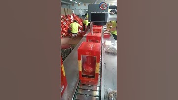 Automatic wine bottle carton box case laser coding printing machine coder printer line