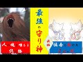 【漫画】「最強の守り神！狛犬と神主見習い‐後編‐」【守護霊シリーズ:3話】