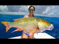 Massive mutton snappers catch clean  cook south florida fishing