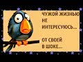 Сложно быть ДУРОЙ, слишком МНОГО конкуренток... УМОРИТЕЛЬНЫЙ женский юмор