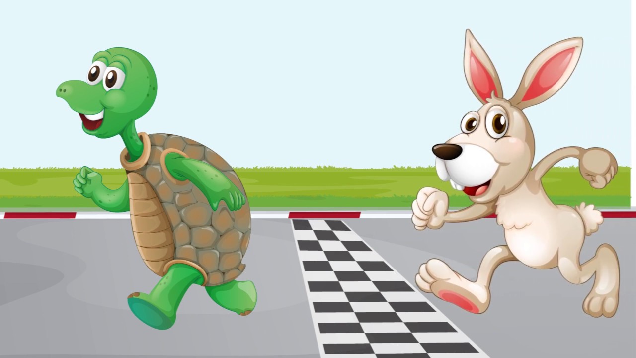 Turtle and Rabbit are competing | Turtle animation | tortoise | Rabbit ...